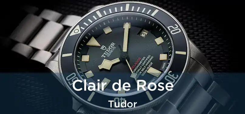  Clair de Rose Tudor
